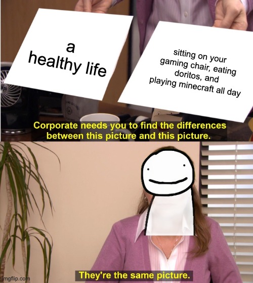 They're The Same Picture |  a healthy life; sitting on your gaming chair, eating doritos, and playing minecraft all day | image tagged in memes,they're the same picture,dream | made w/ Imgflip meme maker