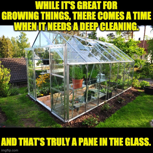 pane | WHILE IT'S GREAT FOR GROWING THINGS, THERE COMES A TIME WHEN IT NEEDS A DEEP CLEANING. AND THAT'S TRULY A PANE IN THE GLASS. | image tagged in bad pun | made w/ Imgflip meme maker