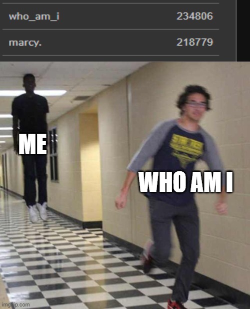 floating boy chasing running boy | ME; WHO AM I | image tagged in floating boy chasing running boy | made w/ Imgflip meme maker
