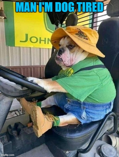 dog tired | MAN I'M DOG TIRED | image tagged in bull dog,john deer | made w/ Imgflip meme maker