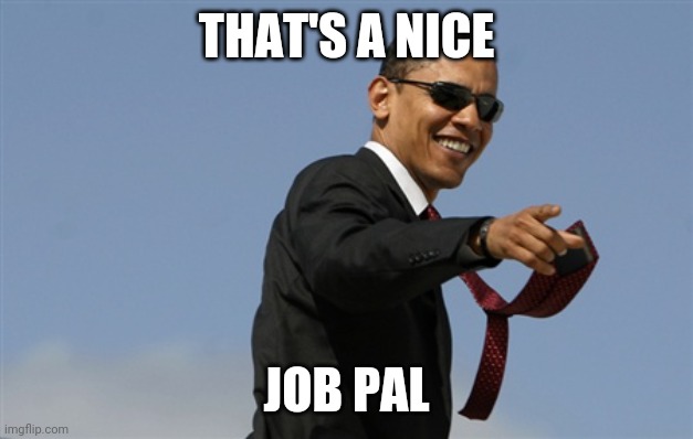 Cool Obama Meme | THAT'S A NICE JOB PAL | image tagged in memes,cool obama | made w/ Imgflip meme maker