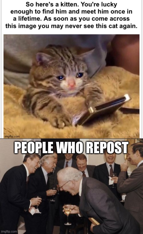 DONT REPOST | PEOPLE WHO REPOST | image tagged in memes,laughing men in suits,funny,lol,lol so funny | made w/ Imgflip meme maker