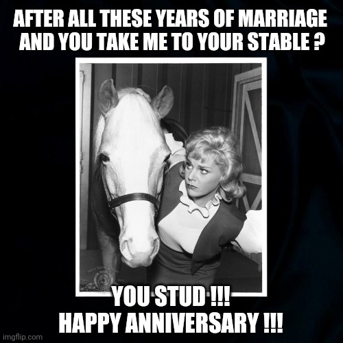 Mr Ed's Crib | AFTER ALL THESE YEARS OF MARRIAGE 
AND YOU TAKE ME TO YOUR STABLE ? YOU STUD !!!
HAPPY ANNIVERSARY !!! | image tagged in mister ed,stable genius,happy anniversary,marriage,horses,funny | made w/ Imgflip meme maker