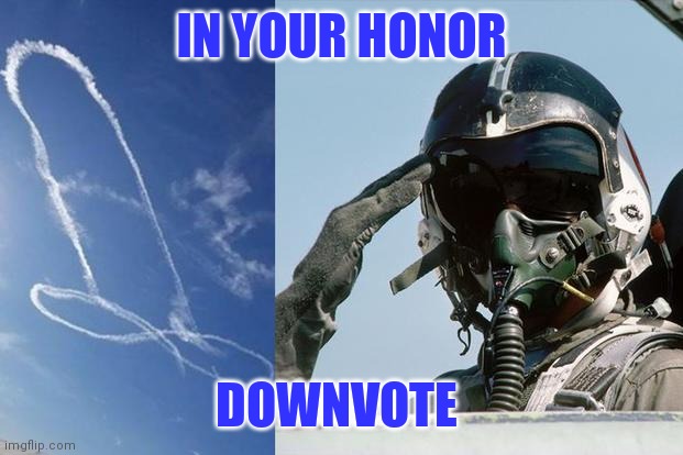 IN YOUR HONOR DOWNVOTE | made w/ Imgflip meme maker
