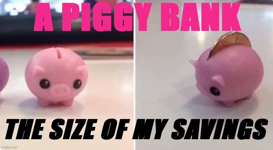 IMGFLIP_BANK 100 | A PIGGY BANK THE SIZE OF MY SAVINGS | image tagged in a piggy bank the size of my savings,bank,piggy,piggy bank | made w/ Imgflip meme maker