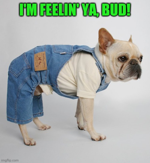 I'M FEELIN' YA, BUD! | made w/ Imgflip meme maker