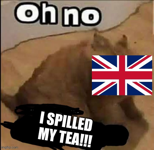 OH NO I SPEEELLED MIY TEEA!!!! | I SPILLED 
MY TEA!!! | image tagged in british oh no cringe,british | made w/ Imgflip meme maker