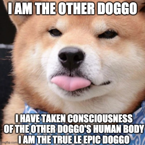 When you happ | I AM THE OTHER DOGGO; I HAVE TAKEN CONSCIOUSNESS OF THE OTHER DOGGO'S HUMAN BODY
I AM THE TRUE LE EPIC DOGGO | image tagged in when you happ | made w/ Imgflip meme maker