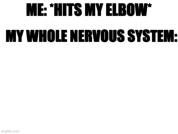 My whole nervous system | ME: *HITS MY ELBOW*; MY WHOLE NERVOUS SYSTEM: | image tagged in blank white template | made w/ Imgflip meme maker