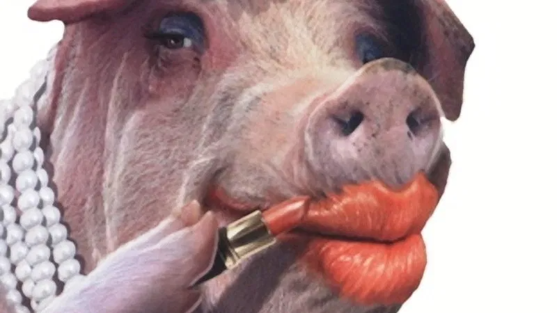pig with lipstick Blank Meme Template