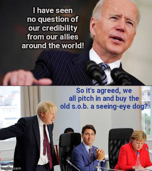 Joe Biden lies about the nation's world allies | I have seen no question of our credibility from our allies around the world! So it's agreed, we all pitch in and buy the old s.o.b. a seeing-eye dog? | image tagged in biden lied people died,joe biden,afghanistan,taliban,world leaders,biden deceit | made w/ Imgflip meme maker