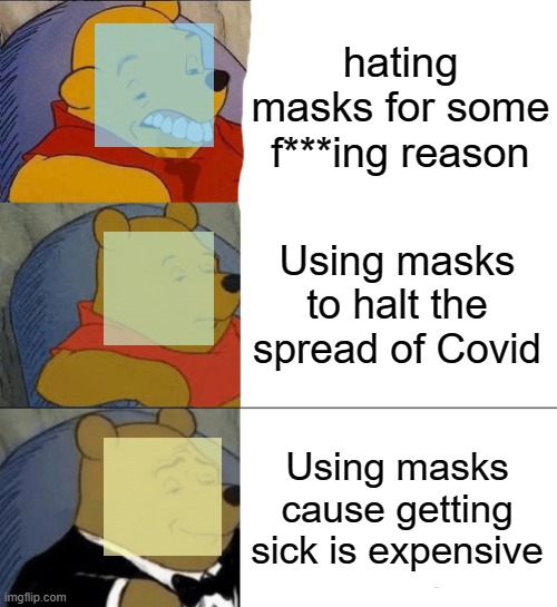 ye, this is a PCM meme, but it applies here too | hating masks for some f***ing reason; Using masks to halt the spread of Covid; Using masks cause getting sick is expensive | image tagged in best better blurst,memes,tuxedo winnie the pooh | made w/ Imgflip meme maker