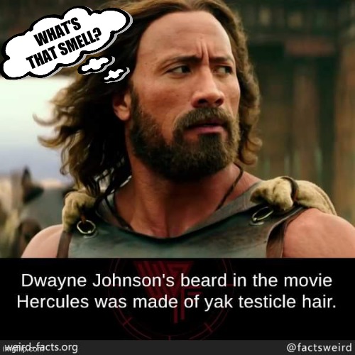 Guy's got balls... on his chin! Imgflip