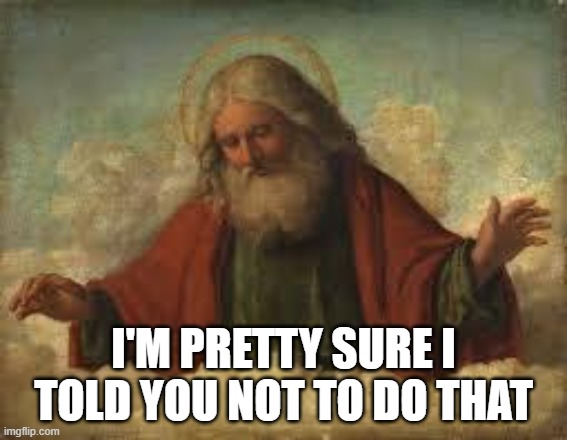 god | I'M PRETTY SURE I TOLD YOU NOT TO DO THAT | image tagged in god | made w/ Imgflip meme maker