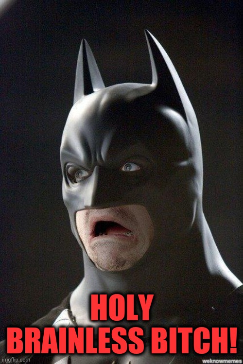 Batman Horrified | HOLY BRAINLESS BITCH! | image tagged in batman horrified | made w/ Imgflip meme maker