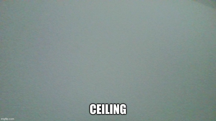 CEILING | made w/ Imgflip meme maker