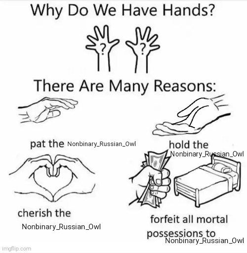 Why do we have hands? (all blank) | Nonbinary_Russian_Owl; Nonbinary_Russian_Owl; Nonbinary_Russian_Owl; Nonbinary_Russian_Owl | image tagged in why do we have hands all blank | made w/ Imgflip meme maker