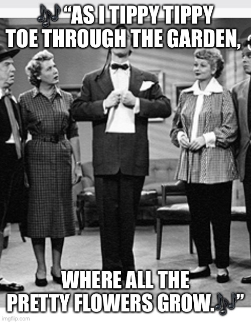 Love it | 🎶 “AS I TIPPY TIPPY TOE THROUGH THE GARDEN, WHERE ALL THE PRETTY FLOWERS GROW.🎶” | image tagged in i love lucy | made w/ Imgflip meme maker