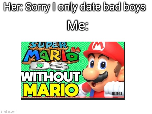 Wait that's illegal | Her: Sorry I only date bad boys; Me: | image tagged in sorry i only date bad boys,mario,memes | made w/ Imgflip meme maker