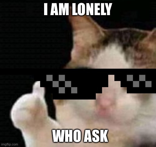 cat | I AM LONELY; WHO ASK | image tagged in see nobody cares | made w/ Imgflip meme maker