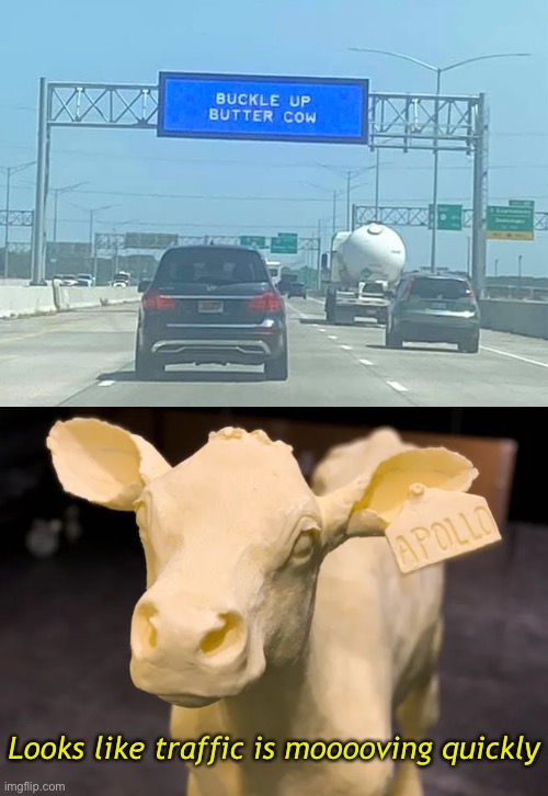 Buckle Up Buttercup | Looks like traffic is mooooving quickly | image tagged in funny memes,dad jokes,eyeroll | made w/ Imgflip meme maker