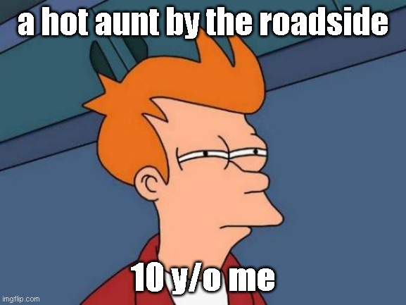fun | a hot aunt by the roadside; 10 y/o me | image tagged in memes,futurama fry | made w/ Imgflip meme maker