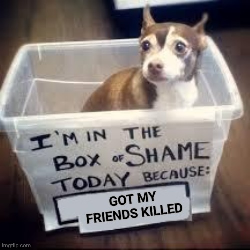 box of shame dog | GOT MY FRIENDS KILLED | image tagged in box of shame dog | made w/ Imgflip meme maker