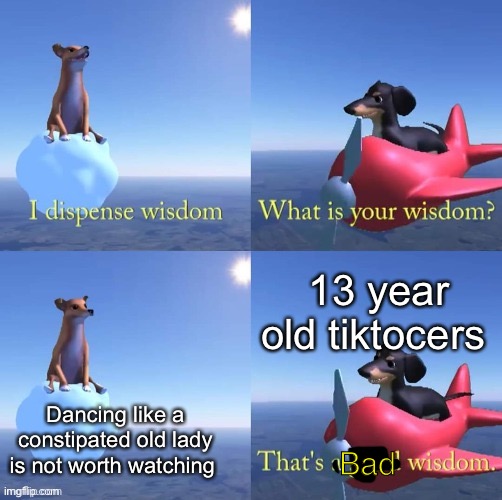 Wisdom dog | 13 year old tiktocers; Dancing like a constipated old lady is not worth watching; Bad | image tagged in wisdom dog,poggers,tiktok,tik tok sucks | made w/ Imgflip meme maker