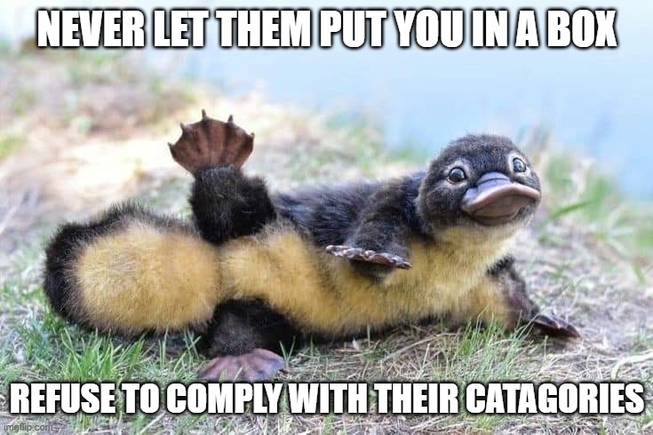 platypus |  NEVER LET THEM PUT YOU IN A BOX; REFUSE TO COMPLY WITH THEIR CATAGORIES | image tagged in defy,rebel | made w/ Imgflip meme maker