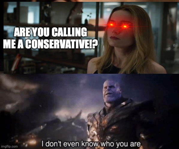 You took everything from me - I don't even know who you are | ARE YOU CALLING ME A CONSERVATIVE!? | image tagged in you took everything from me - i don't even know who you are | made w/ Imgflip meme maker