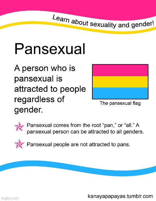 We are not attracted to pans :) !!!!!! I found this on google so go check out the original creator!!!!!!! | image tagged in pansexual,pan,lgbtq | made w/ Imgflip meme maker