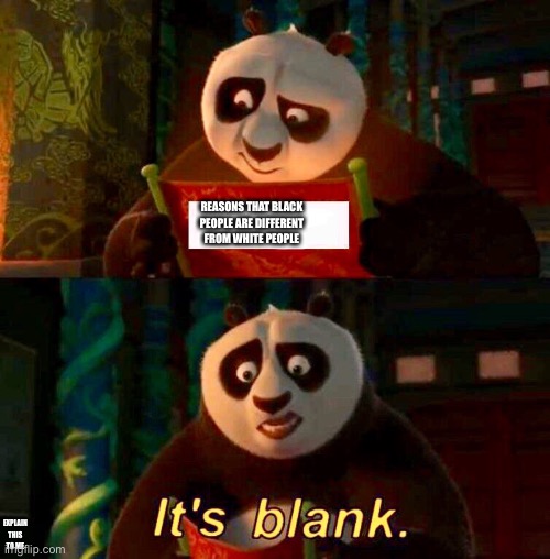 Really people… | REASONS THAT BLACK PEOPLE ARE DIFFERENT FROM WHITE PEOPLE; EXPLAIN THIS TO ME | image tagged in kung fu panda it s blank | made w/ Imgflip meme maker