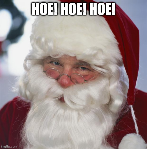 santa claus | HOE! HOE! HOE! | image tagged in santa claus | made w/ Imgflip meme maker