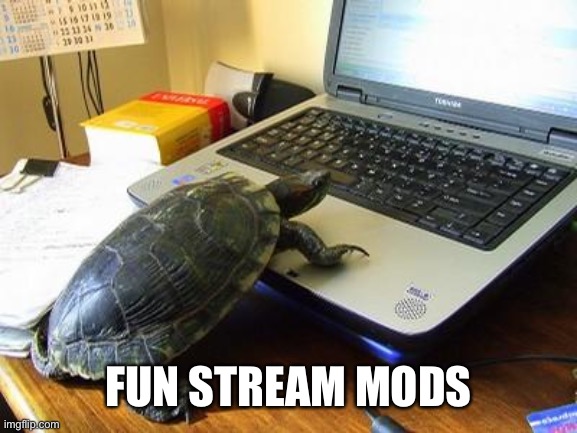 Turtle Computer | FUN STREAM MODS | image tagged in turtle computer | made w/ Imgflip meme maker