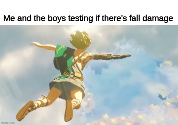 fall | Me and the boys testing if there's fall damage | image tagged in botw 2 trailer | made w/ Imgflip meme maker