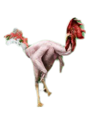 Funny chicken png #2 Meme Template