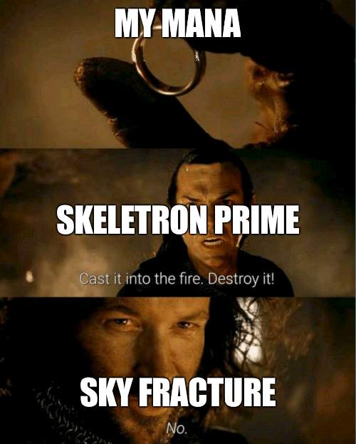 doesn't use much | MY MANA; SKELETRON PRIME; SKY FRACTURE | image tagged in cast it in the fire | made w/ Imgflip meme maker
