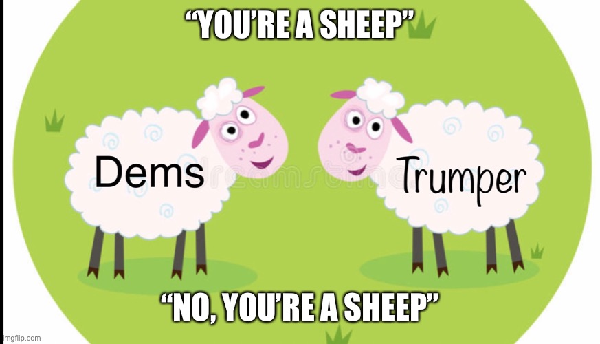 Political life | “YOU’RE A SHEEP”; “NO, YOU’RE A SHEEP” | image tagged in sheeple | made w/ Imgflip meme maker