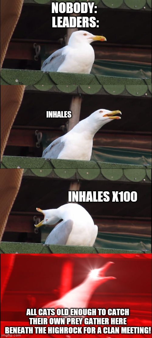 Inhaling Seagull | NOBODY: 
LEADERS:; INHALES; INHALES X100; ALL CATS OLD ENOUGH TO CATCH THEIR OWN PREY GATHER HERE BENEATH THE HIGHROCK FOR A CLAN MEETING! | image tagged in memes,inhaling seagull,warrior cats | made w/ Imgflip meme maker