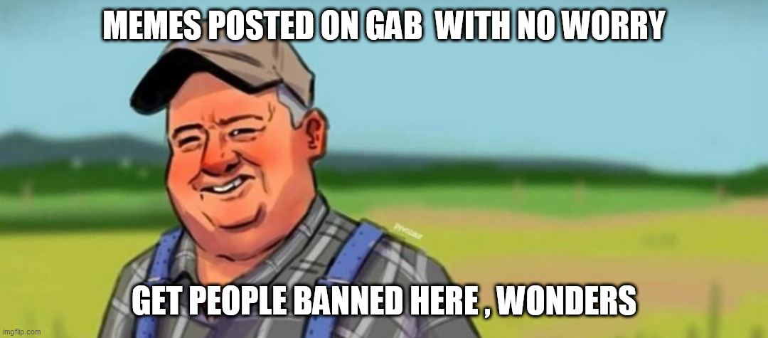 GAB MEMES | MEMES POSTED ON GAB  WITH NO WORRY; GET PEOPLE BANNED HERE , WONDERS | image tagged in gab memes | made w/ Imgflip meme maker