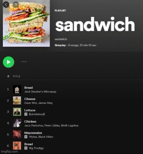 perfect playlist doesn't exi- | image tagged in spotify,music,sandwich | made w/ Imgflip meme maker