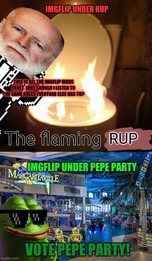 Vote PEPE for the win! | THIS IS ALL THE IMGFLIP MODS FAULT. WHY SHOULD I LISTEN TO THE SAME RULES EVERYONE ELSE HAS TO? RUP VOTE PEPE PARTY! IMGFLIP UNDER PEPE PART | image tagged in rup party,is flaming toilet,vote,pepe,party | made w/ Imgflip meme maker