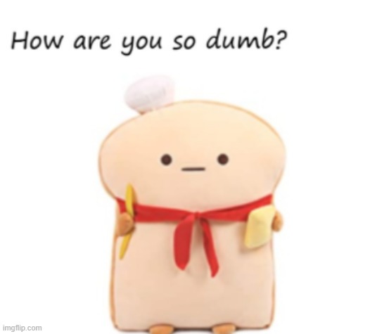 how are you so dumb | image tagged in how are you so dumb | made w/ Imgflip meme maker