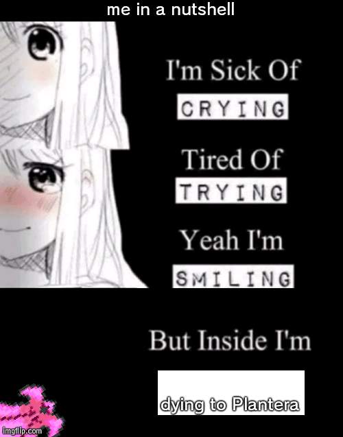 im going to teleport cheese it | me in a nutshell; dying to Plantera | image tagged in i'm sick of crying | made w/ Imgflip meme maker