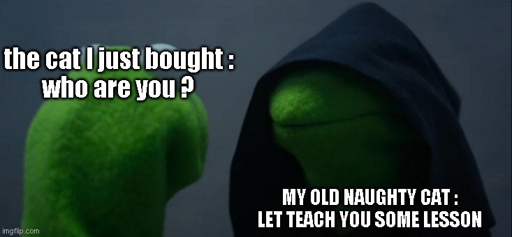 fun | the cat I just bought :
who are you ? MY OLD NAUGHTY CAT :
LET TEACH YOU SOME LESSON | image tagged in memes,evil kermit | made w/ Imgflip meme maker