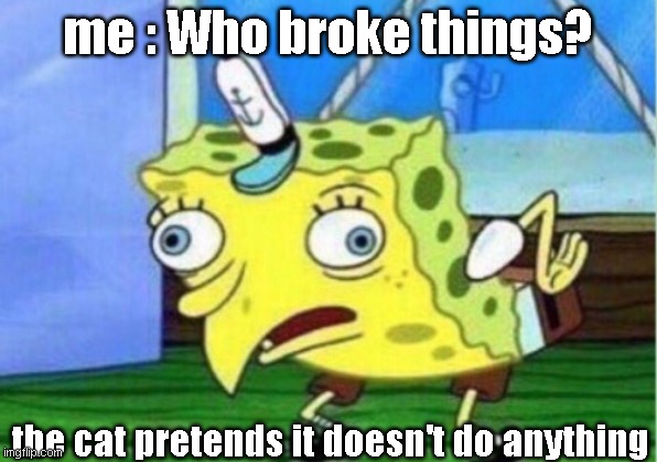 fun | me : Who broke things? the cat pretends it doesn't do anything | image tagged in memes,mocking spongebob | made w/ Imgflip meme maker