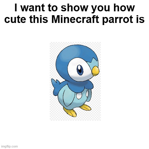 confused memer | I want to show you how cute this Minecraft parrot is | image tagged in memes,blank transparent square | made w/ Imgflip meme maker