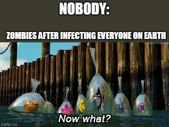 what to do? | NOBODY:; ZOMBIES AFTER INFECTING EVERYONE ON EARTH | image tagged in now what | made w/ Imgflip meme maker