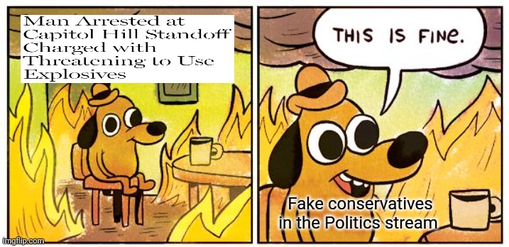 This Is Fine | Fake conservatives in the Politics stream | image tagged in this is fine,conservative hypocrisy,scumbag republicans,terrorism,terrorists,maga | made w/ Imgflip meme maker