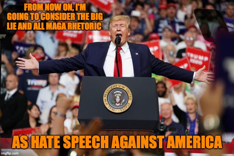 Trump Rally 2 | FROM NOW ON, I'M GOING TO CONSIDER THE BIG LIE AND ALL MAGA RHETORIC; AS HATE SPEECH AGAINST AMERICA | image tagged in trump rally 2 | made w/ Imgflip meme maker